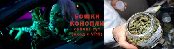 индика Остров