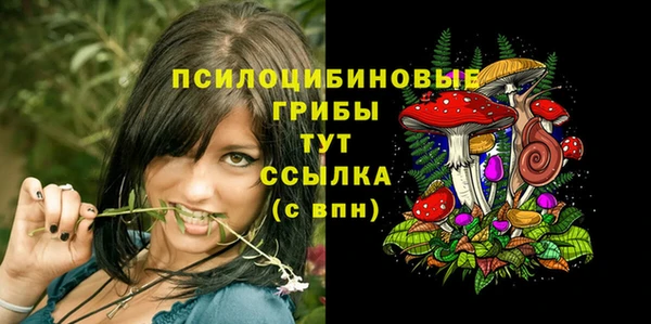 индика Остров