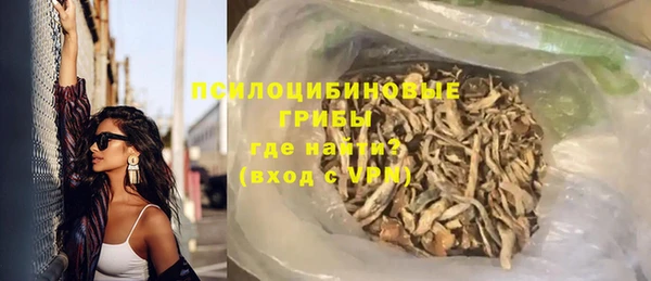 индика Остров