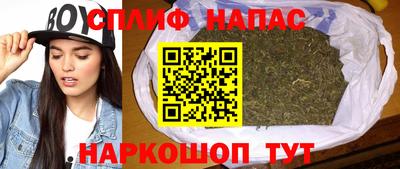 2c-b Кингисепп