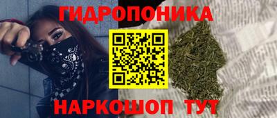 дурь Кимры