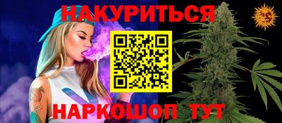 2c-b Кингисепп