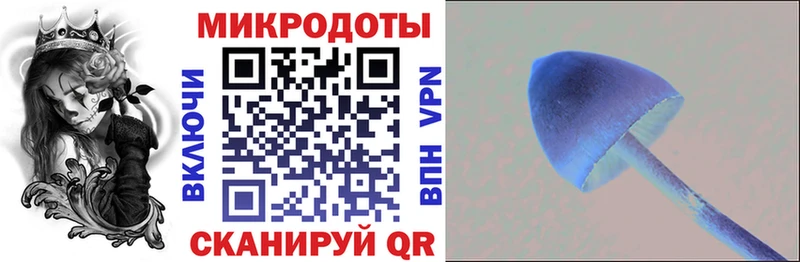 Псилоцибиновые грибы прущие грибы  Люберцы 