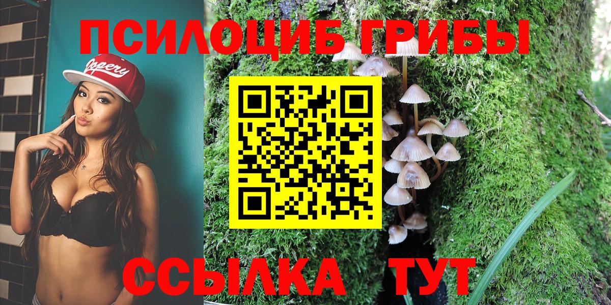 Галлюциногенные грибы MAGIC MUSHROOMS  Псилоцибиновые грибы ЛСД  Вход с VPN  Люберцы 